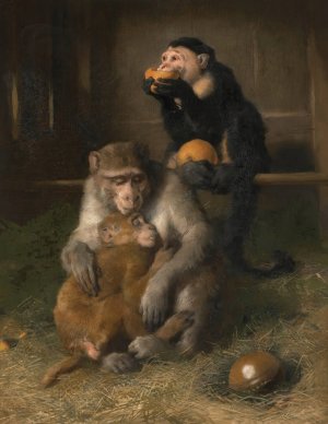 Doctor's Visit To Poor Relations At The Zoological Gardens by Sir Edwin Henry Landseer Oil Painting