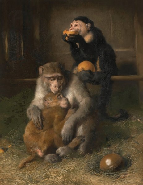 Doctor's Visit To Poor Relations At The Zoological Gardens by Sir Edwin Henry Landseer - Hand-Painted Oil Painting Reproduction