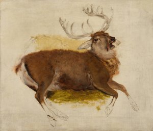 Dying Stag by Sir Edwin Henry Landseer Oil Painting