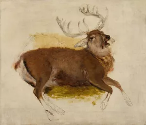 Dying Stag by Sir Edwin Henry Landseer Oil Painting