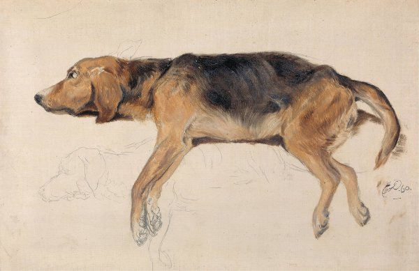Study of a Dog Lying Down  by Sir Edwin Henry Landseer - Hand-Painted Oil Painting Reproduction