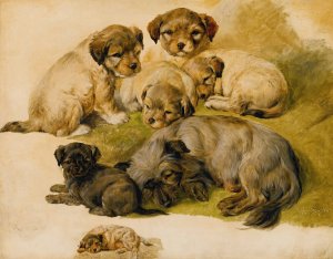 Study Of A Terrier And Puppies by Sir Edwin Henry Landseer Oil Painting