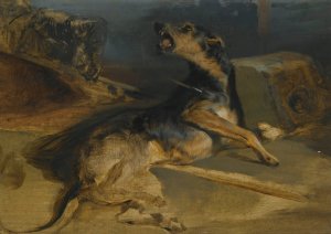 Study Of A Wounded Hound, From Walter Scott's The Talisman by Sir Edwin Henry Landseer Oil Painting