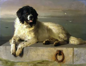A Distinguished Member of the Humane Society by Sir Edwin Landseer Oil Painting