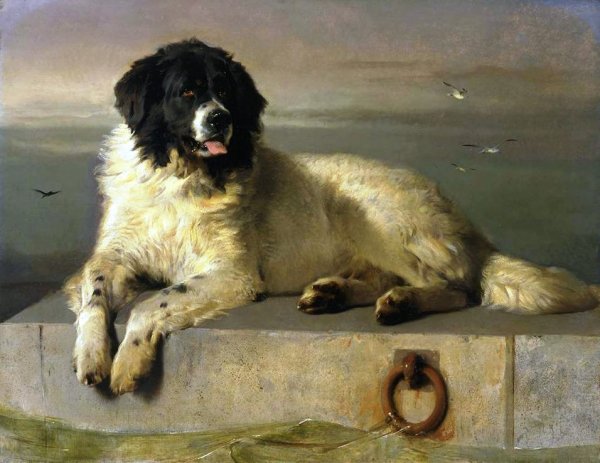 A Distinguished Member of the Humane Society by Sir Edwin Landseer - Hand-Painted Oil Painting Reproduction