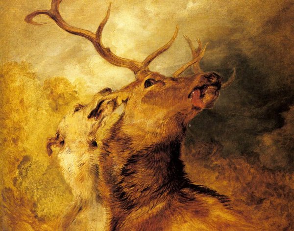 Main Product Photo of Stag and Hound Painting by Sir Edwin Landseer