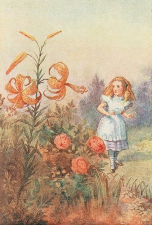 We can talk, said the Tiger-lily, by Sir John Tenniel Oil Painting