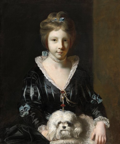 Miss Beatrix Lister  by Sir Joshua Reynolds - Hand-Painted Oil Painting Reproduction