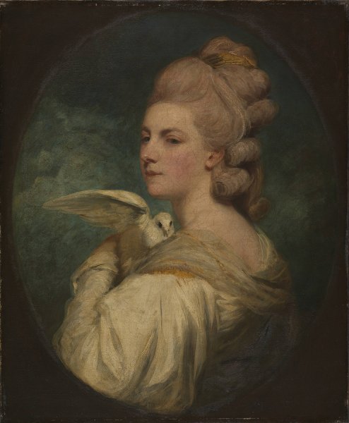 Main Product Photo of Mrs Mary Nesbitt  Painting by Sir Joshua Reynolds