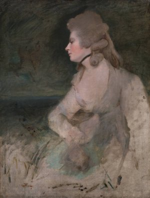 Mrs. Robinson by Sir Joshua Reynolds Oil Painting