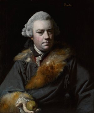 Portrait of Thomas Bowlby by Sir Joshua Reynolds Oil Painting