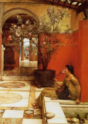 An Oleander by Sir Lawrence Alma-Tadema Oil Painting