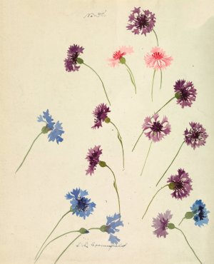 Cornflowers by Sophia Louise Crownfield Oil Painting