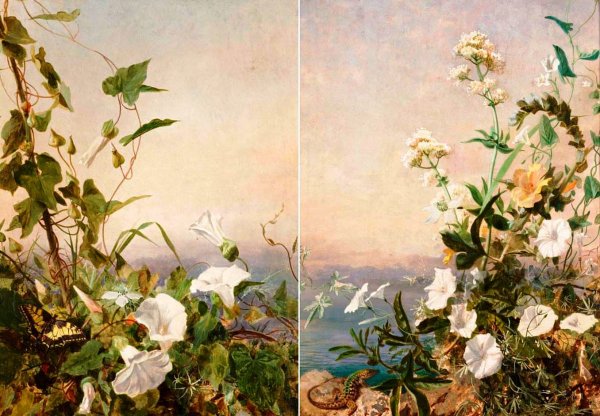 Still Life of Flowers, Capri by Sophie Anderson - Hand-Painted Oil Painting Reproduction