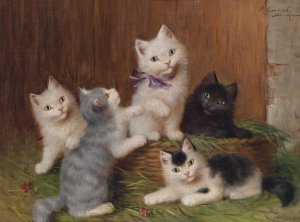 Katzenkinder by Sophie Sperlich Oil Painting