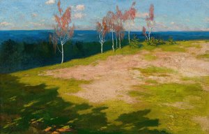 Landscape with birch trees by Stanislaw Jarocki Oil Painting