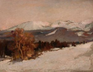 Mountain landscape in winter by Stefan Filipkiewicz Oil Painting