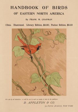 Handbook of birds of eastern North America by Tappan Adney Oil Painting
