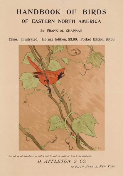 Handbook of birds of eastern North America  by Tappan Adney - Hand-Painted Oil Painting Reproduction