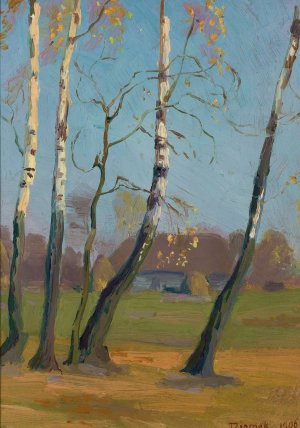 Birch trees near a village by Teodor Ziomek Oil Painting