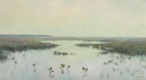 Dawn over water - Marshes by Teodor Ziomek Oil Painting