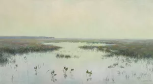 Dawn over water - Marshes by Teodor Ziomek Oil Painting