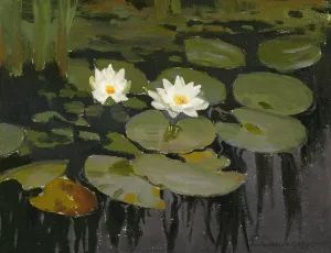 Water lilies by Teodor Ziomek Oil Painting
