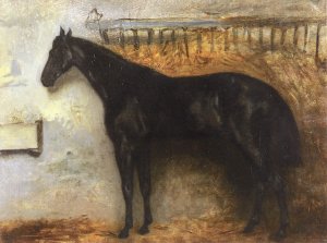 Black Horse in the Stable