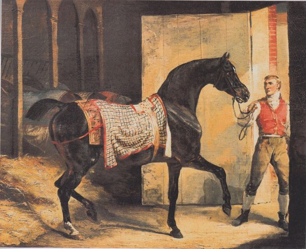 Main Product Photo of The Horse is out of the Stable Painting by Theodore Gericault