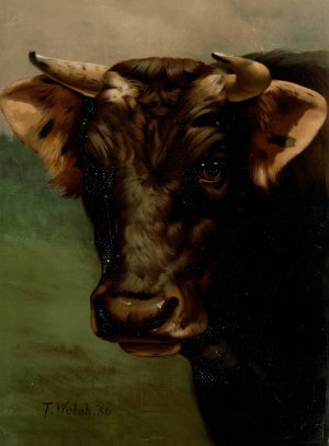 Bull's head by Thaddeus Welch Oil Painting