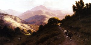 Cattle in the Marin Hills