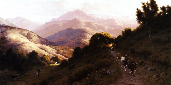 Main Product Photo of Cattle in the Marin Hills Painting by Thaddeus Welch