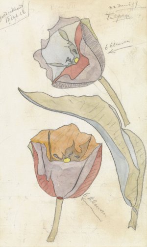 Tulpen by Theo Colenbrander Oil Painting