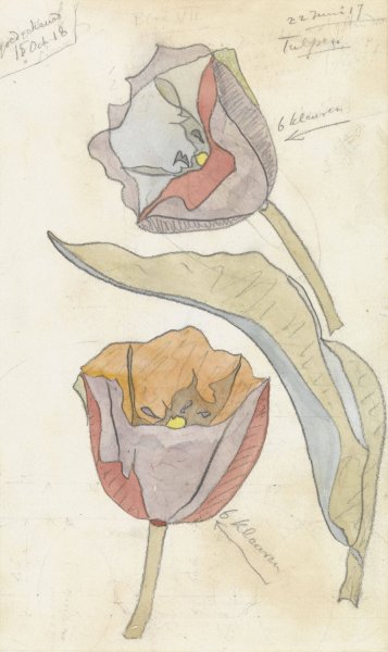 Main Product Photo of Tulpen  Painting by Theo Colenbrander
