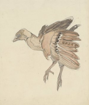 Dood vogeltje by Theo Van Hoytema Oil Painting