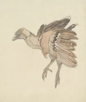 Dood vogeltje by Theo Van Hoytema Oil Painting