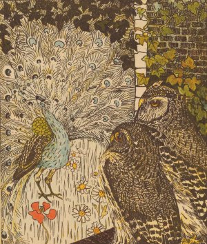Peacock And Two Owls by Theo Van Hoytema Oil Painting