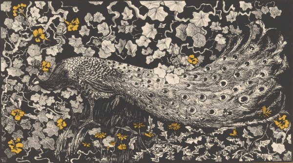 Main Product Photo of Peacock  Painting by Theo Van Hoytema