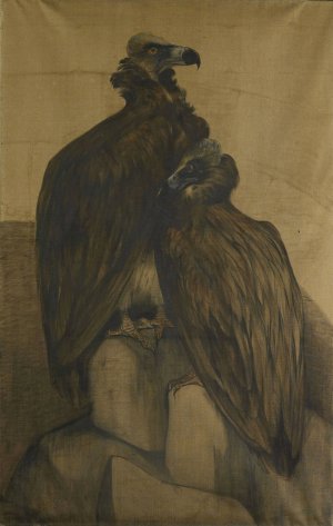 Two Arabian Vultures by Theo Van Hoytema Oil Painting