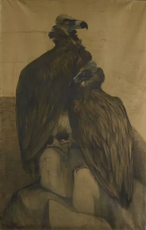 Two Arabian Vultures Oil painting by Theo Van Hoytema