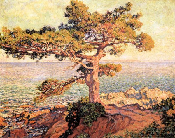 Main Product Photo of Pine by the Mediterranean Sea Painting by Theo Van Rysselberghe