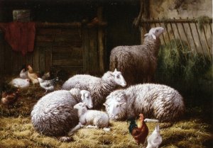 Sheep, Roosters and Chickens in a Barn