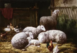 Sheep, Roosters and Chickens in a Barn by Theo Van Sluys - Oil Painting Reproduction