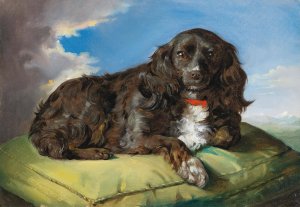 Cocker Spaniel auf grunem Polster liegend Oil painting by Theodor Petter