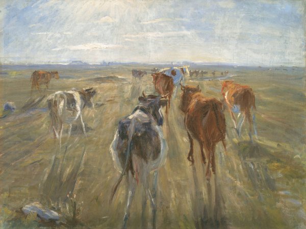Long Shadows. Cattle on the Island of Saltholm  by Theodor Philipsen - Hand-Painted Oil Painting Reproduction