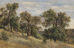 Berghang mit Baum by Theodor Von Hormann Oil Painting