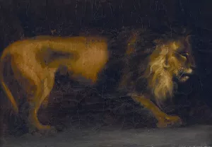 Study of a Lion Oil painting by Theodore Gericault