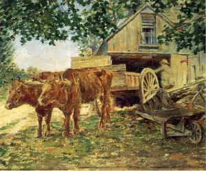 Oxen