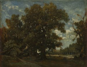 The Oak Tree by Theodore Rousseau Oil Painting