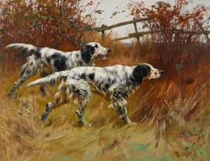 English Setters by Thomas Blinks Oil Painting